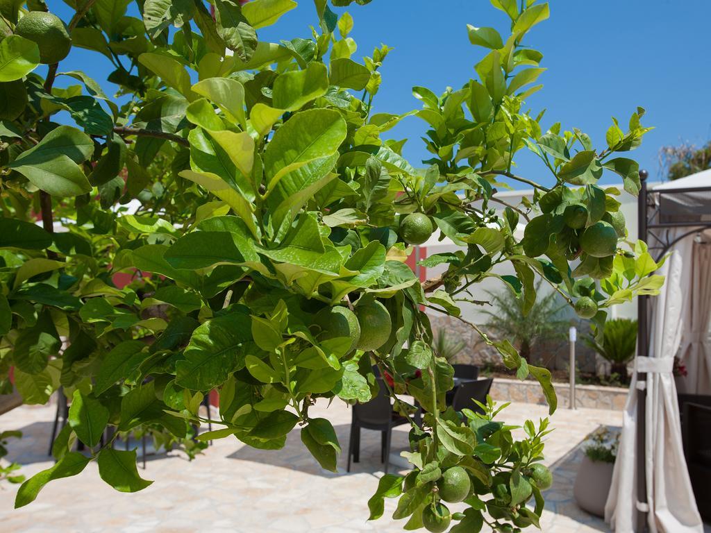 Bhagya Otel Gallipoli Dış mekan fotoğraf